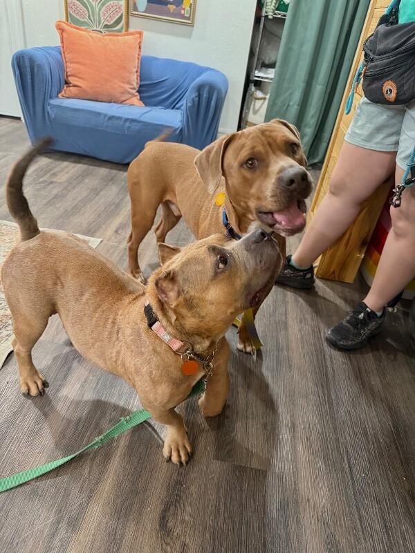 Peggy Hill — thumbnail 2