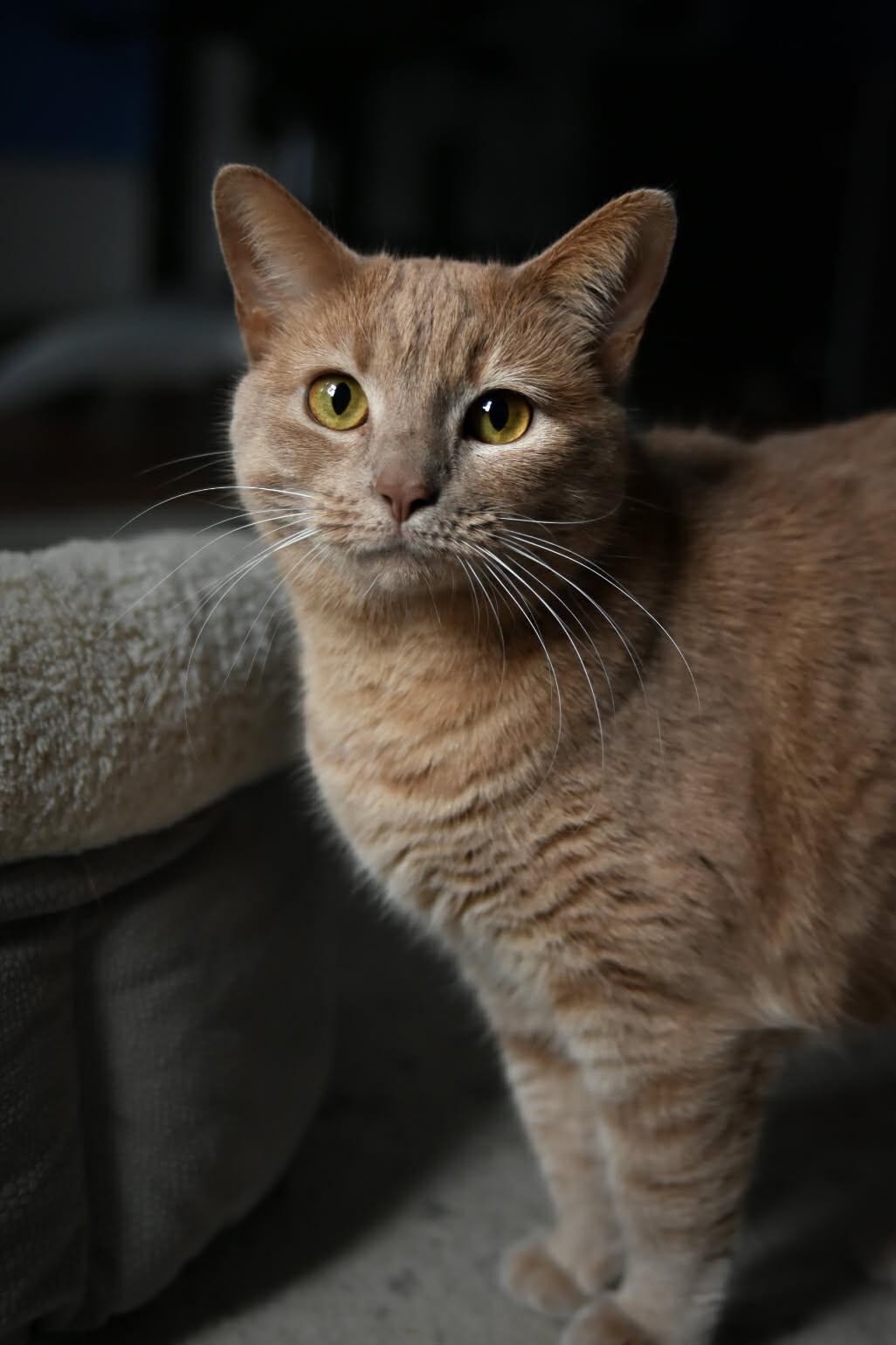 Bobbi photo