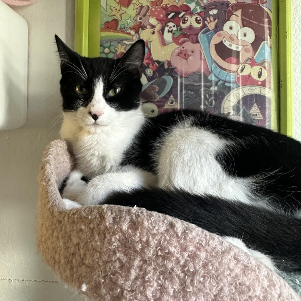 Edric — thumbnail 2