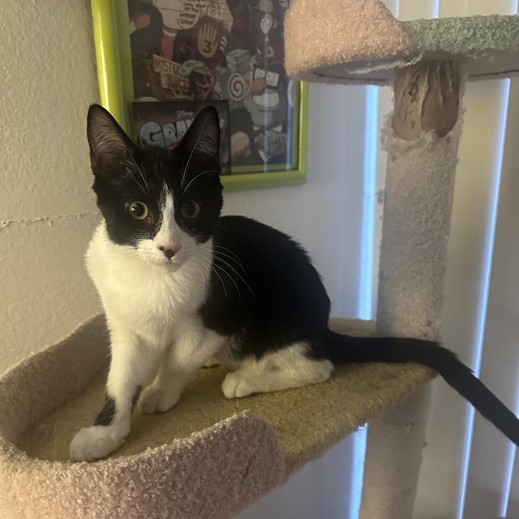 Edric — thumbnail 3