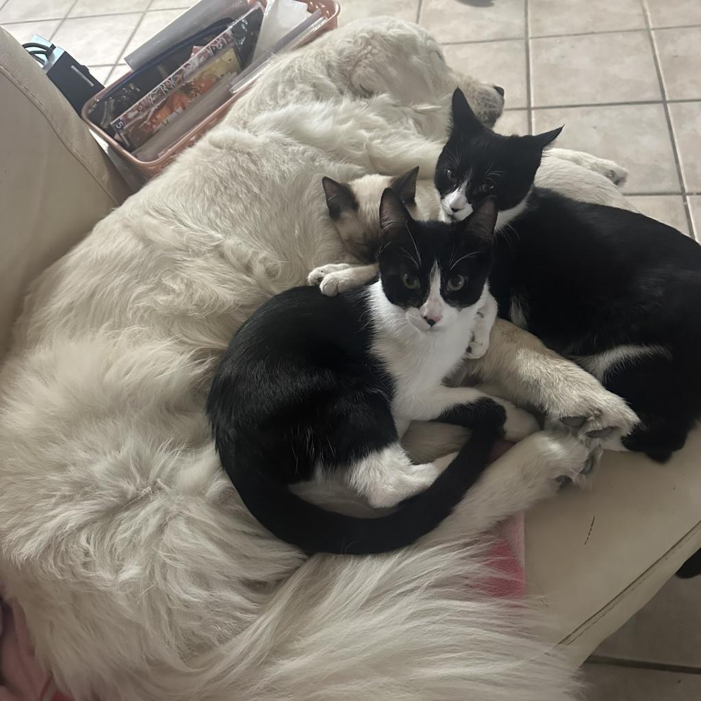 Edric — thumbnail 4