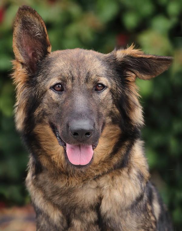 *Nala von Nidda