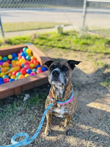 Maggie — thumbnail 3