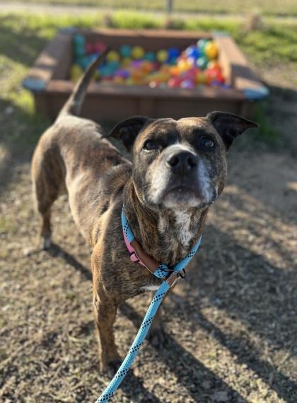 Maggie — thumbnail 4