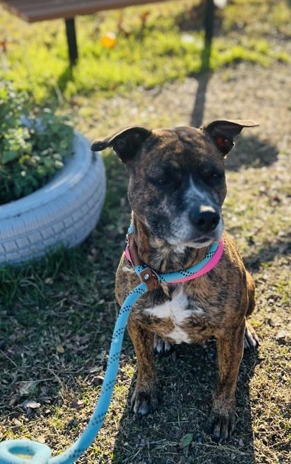 Maggie — thumbnail 5