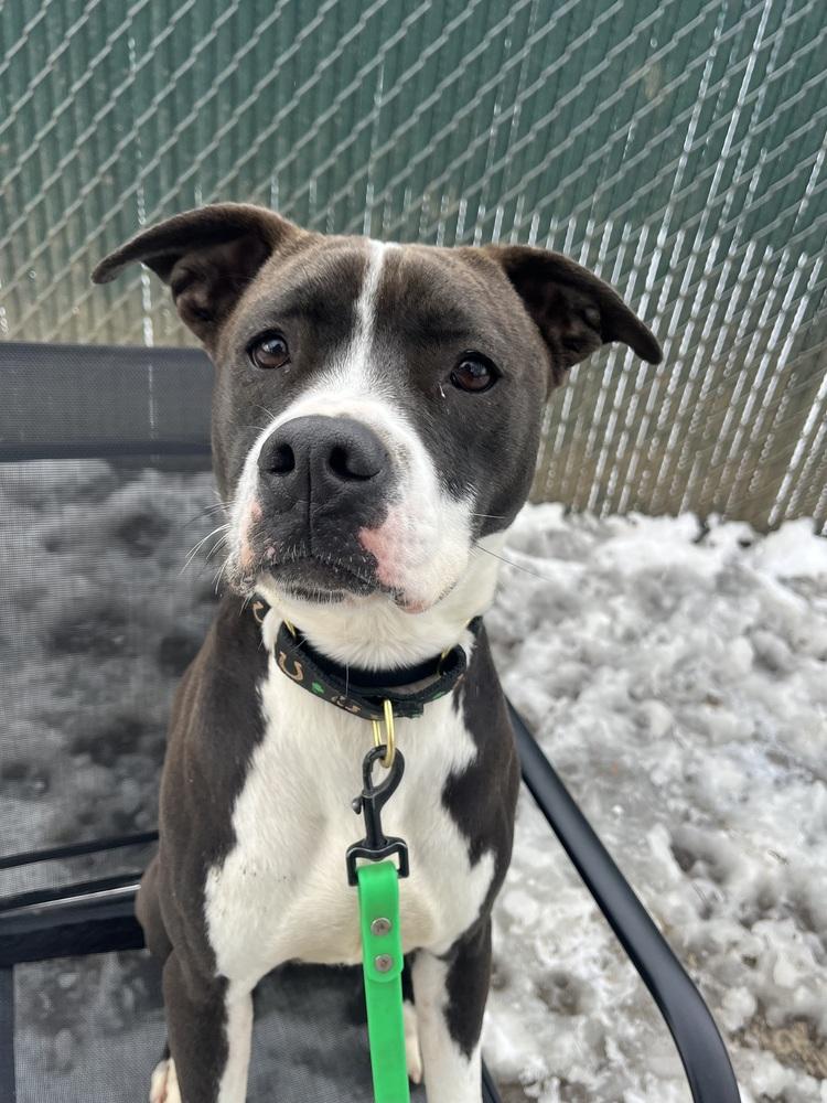 AC - Ripple (Zion Litter) — thumbnail 5