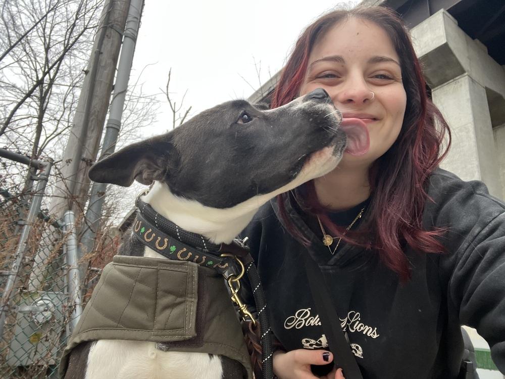 AC - Ripple (Zion Litter) — thumbnail 6