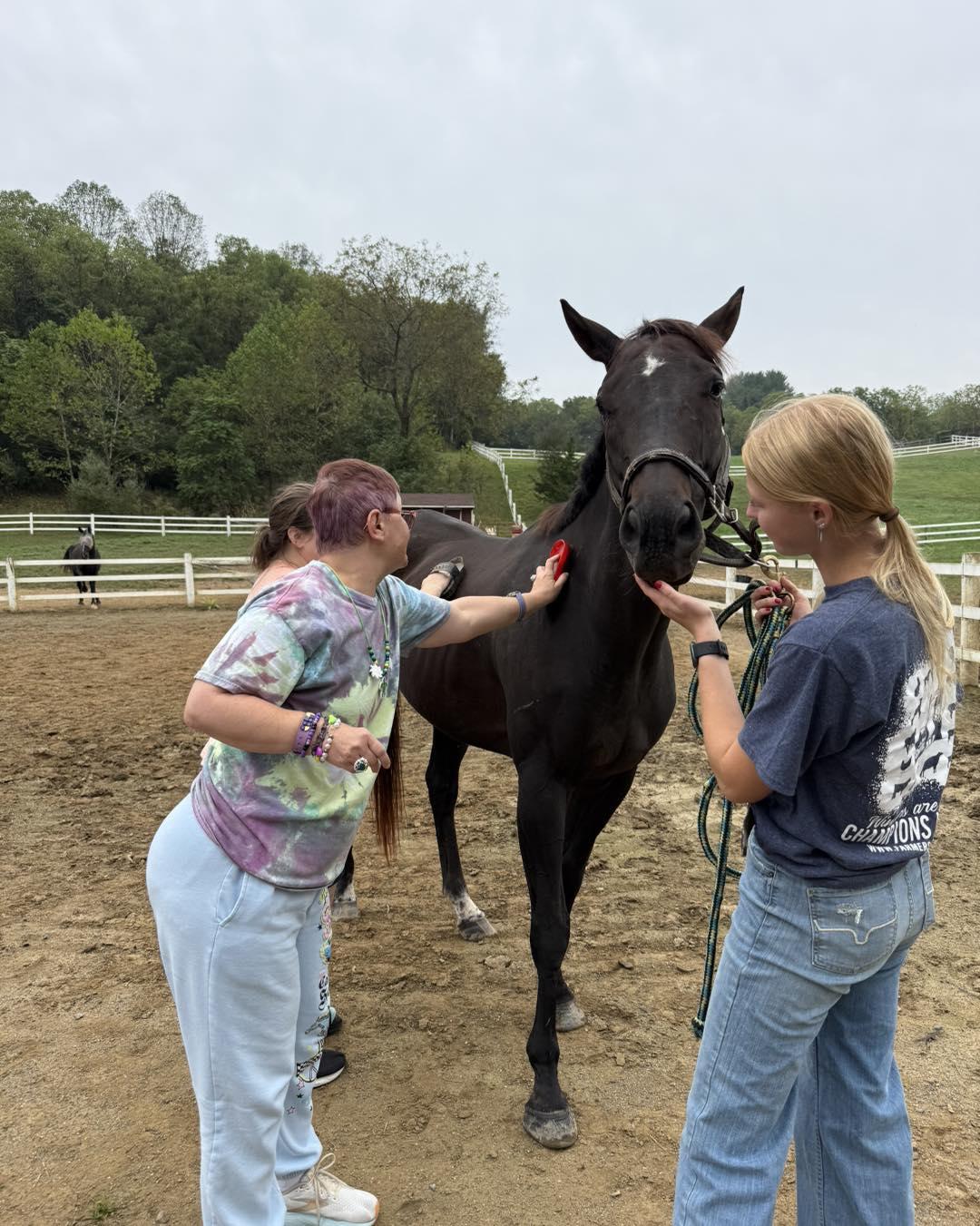 Enlarge Cosmo, a ADOPTABLE Thoroughbred in KNOXVILLE, MD image 4/4