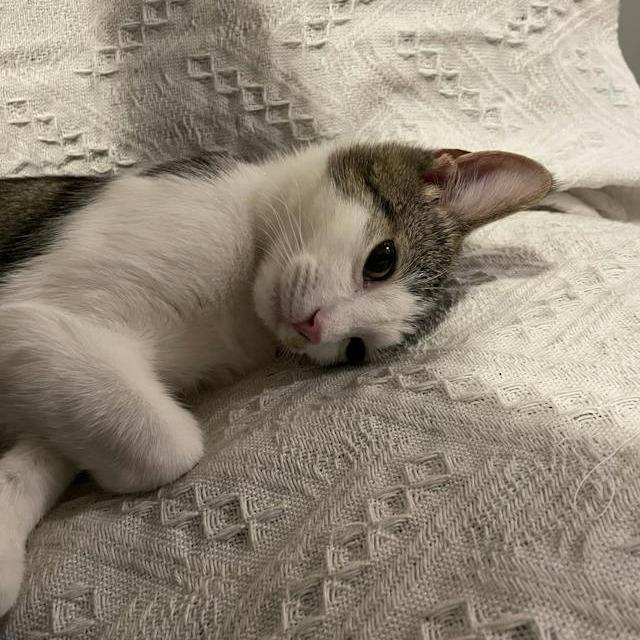 Harper bonded Hayden — thumbnail 2