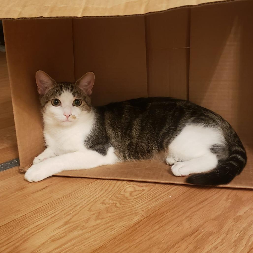 Harper bonded Hayden — thumbnail 3