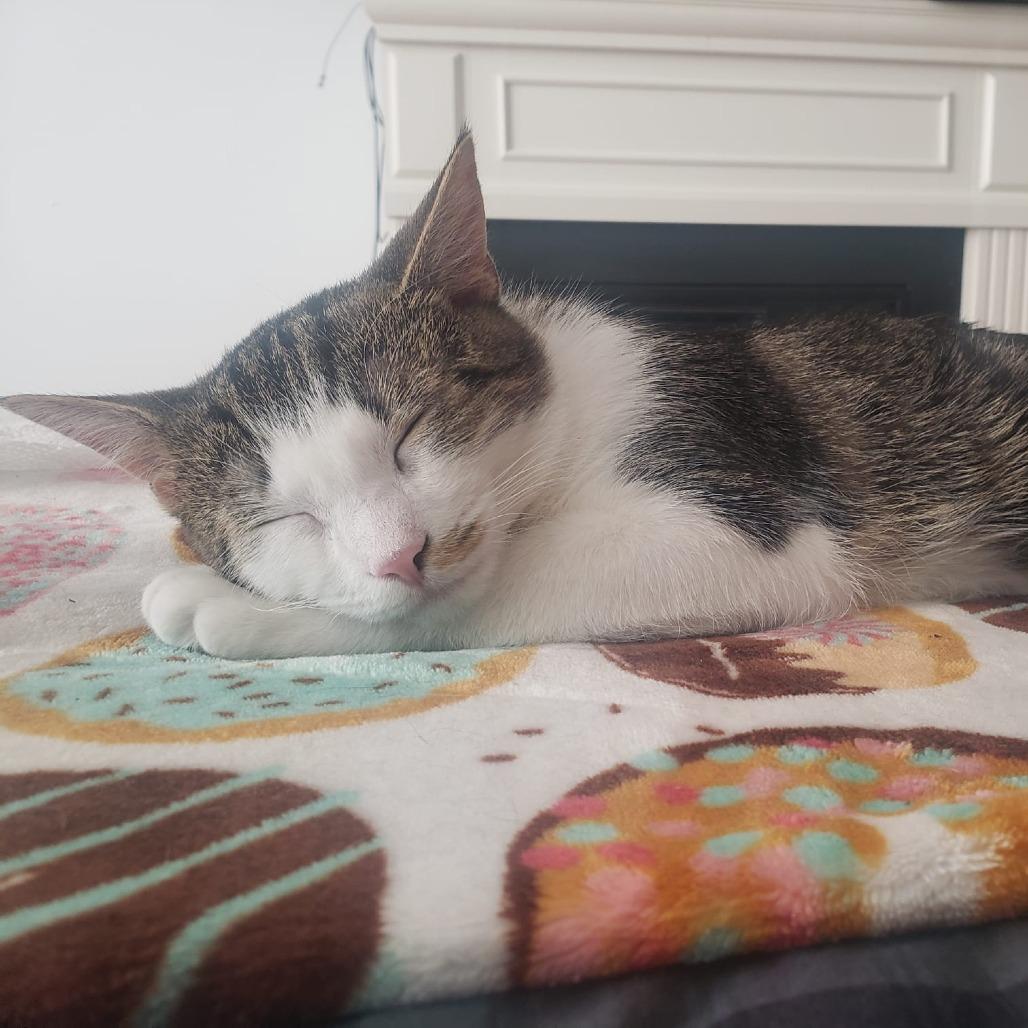 Harper bonded Hayden — thumbnail 6