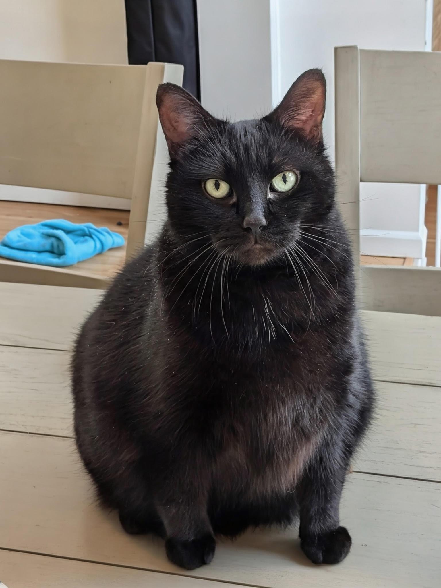 Dante - Super Friendly!