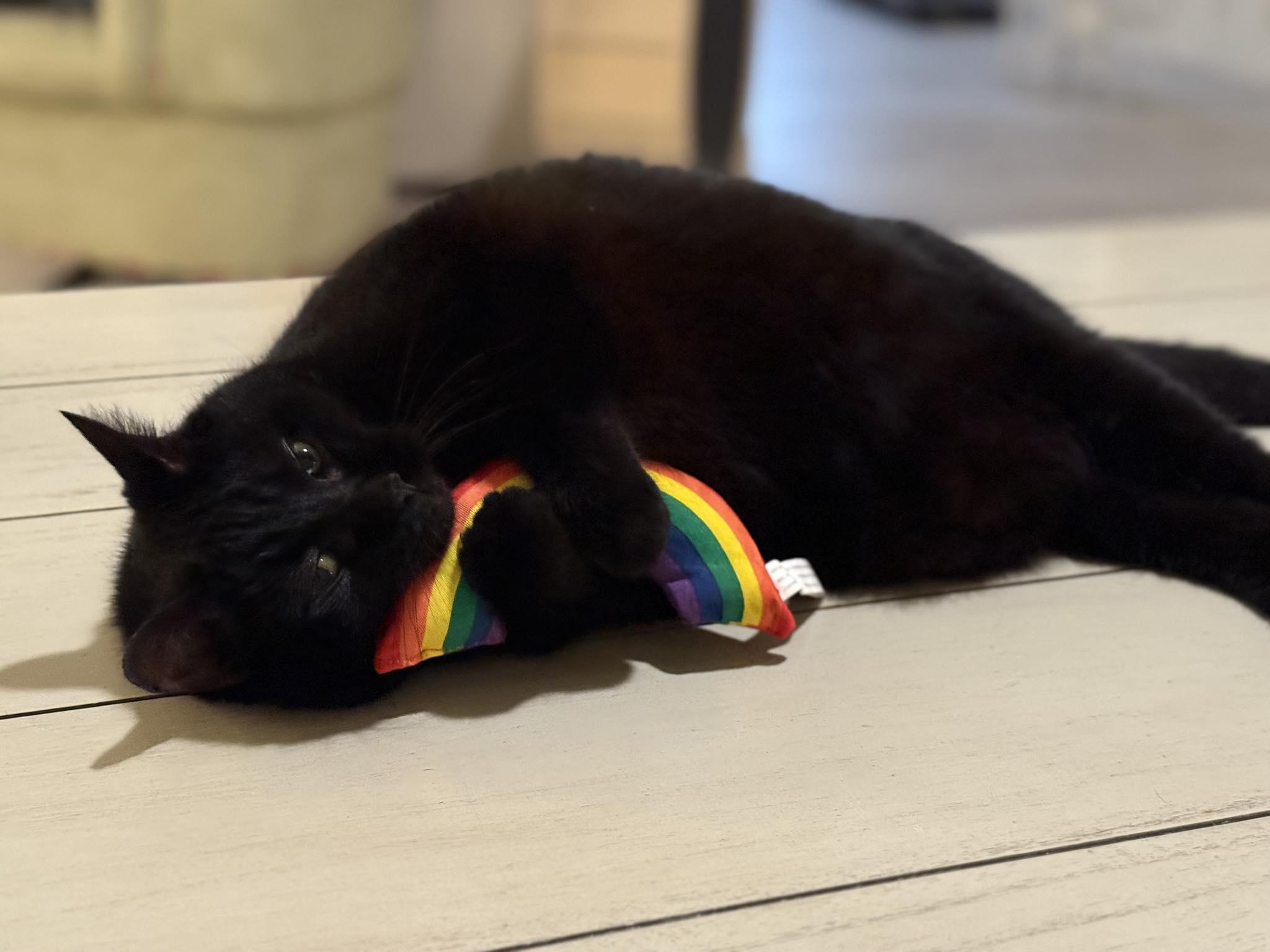 Dante - Super Friendly! 2