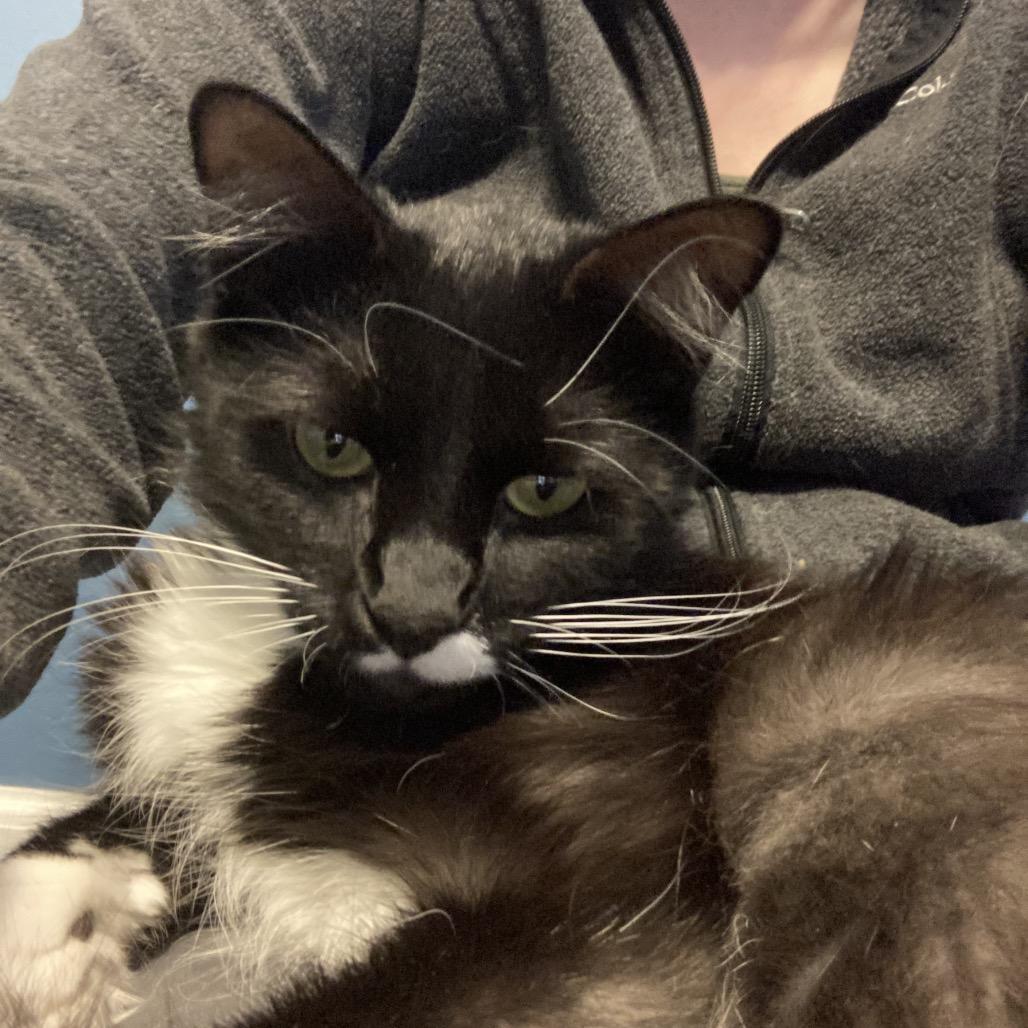 Silly String thumbnail 2