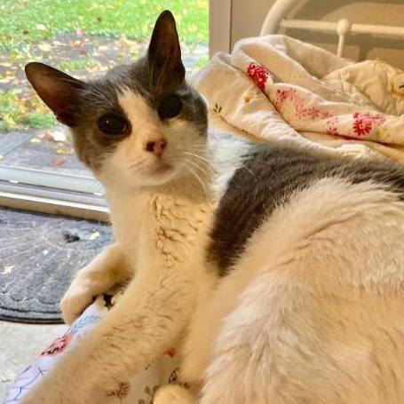 Monica — thumbnail 5