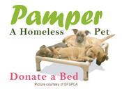 Enlarge Donate a Bed!!, a Adoptable mixed breed in Milford, NJ image 1/2