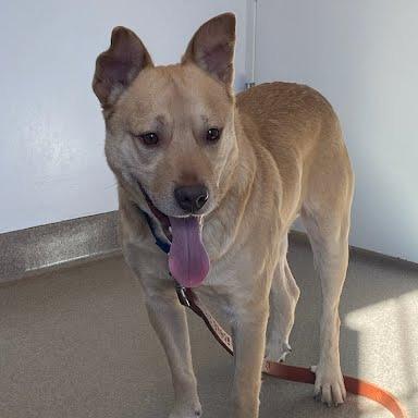 OGee — thumbnail 2