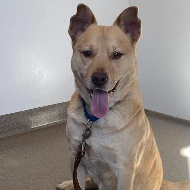 OGee — thumbnail 3