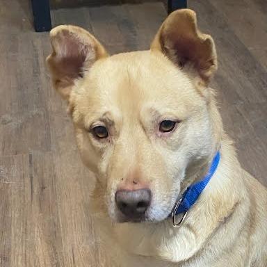 OGee — thumbnail 4