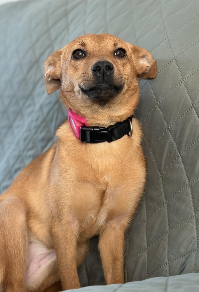 Confetti — thumbnail 2