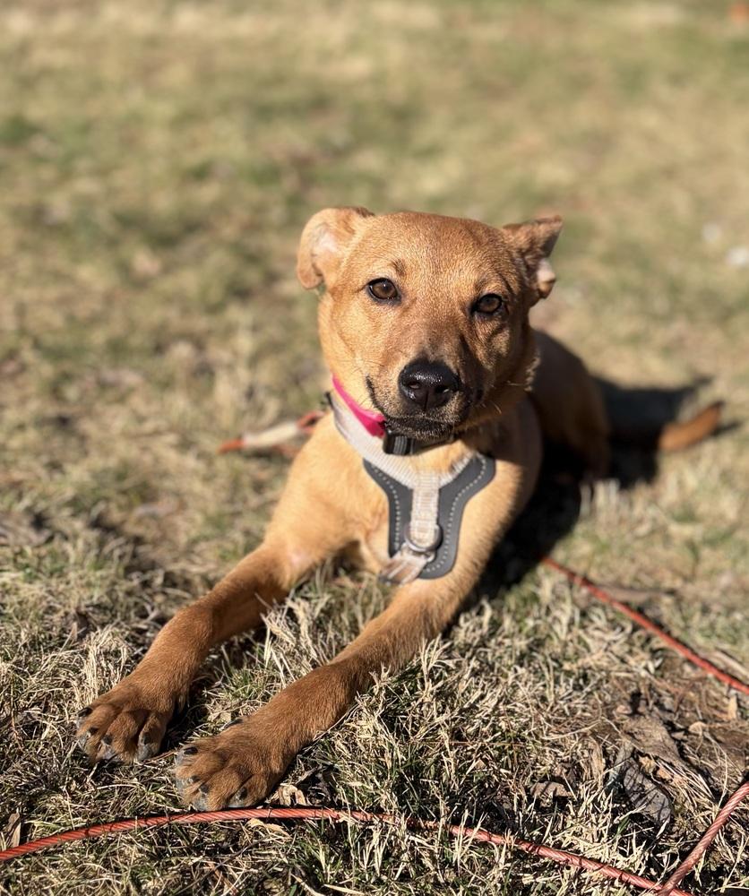 Confetti — thumbnail 4