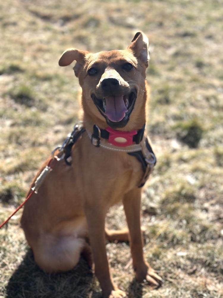 Confetti — thumbnail 5