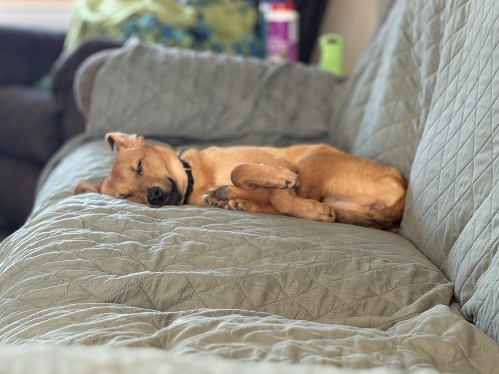 Confetti — thumbnail 6