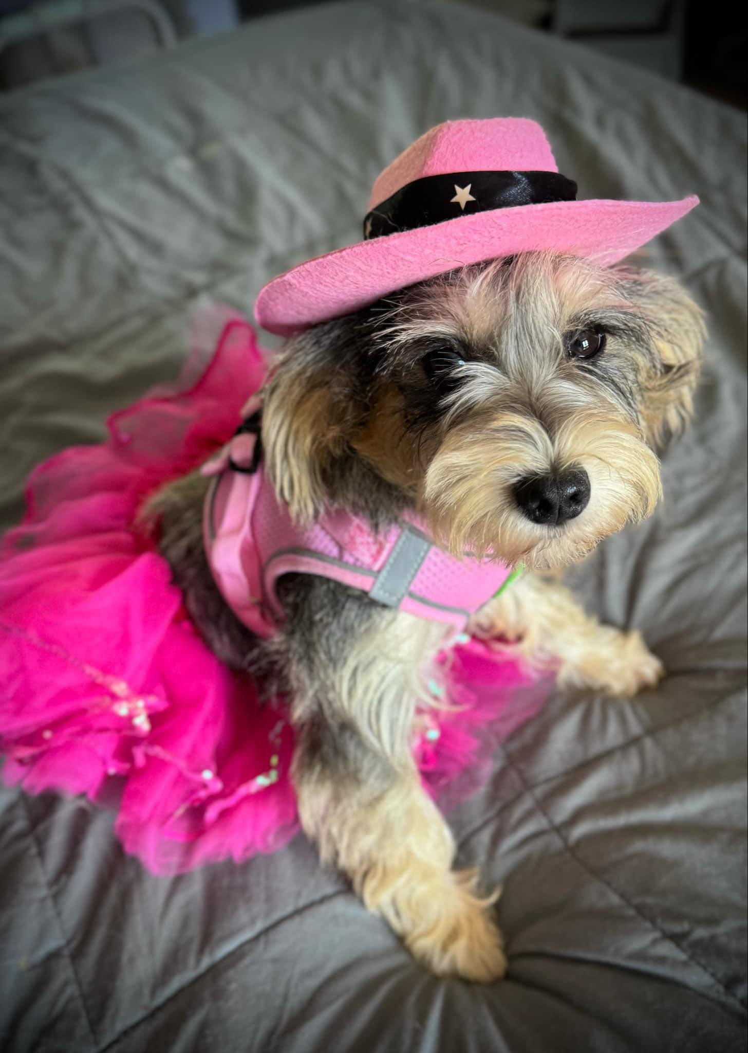Photo of Sophie
