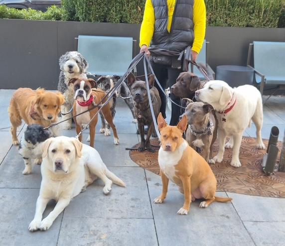 Jasmine — thumbnail 2