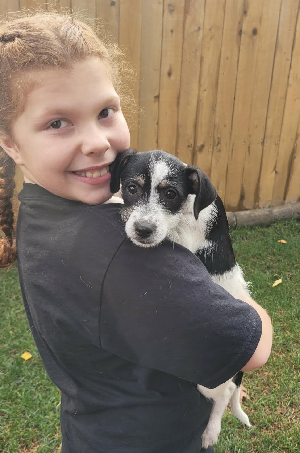 Enlarge Poppyseed, a Adoptable mixed breed in Beavercreek, OR image 3/6