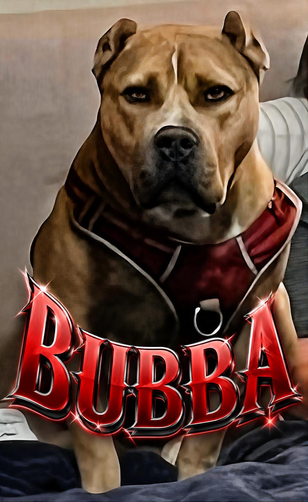 Bubba, ADOPTABLE, Adult Male American Bully.
