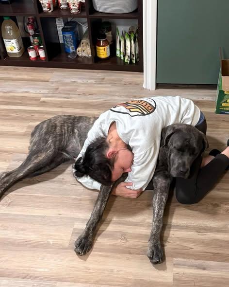 Sierra, a ADOPTABLE Cane Corso in Crescent city, CA image 6/6