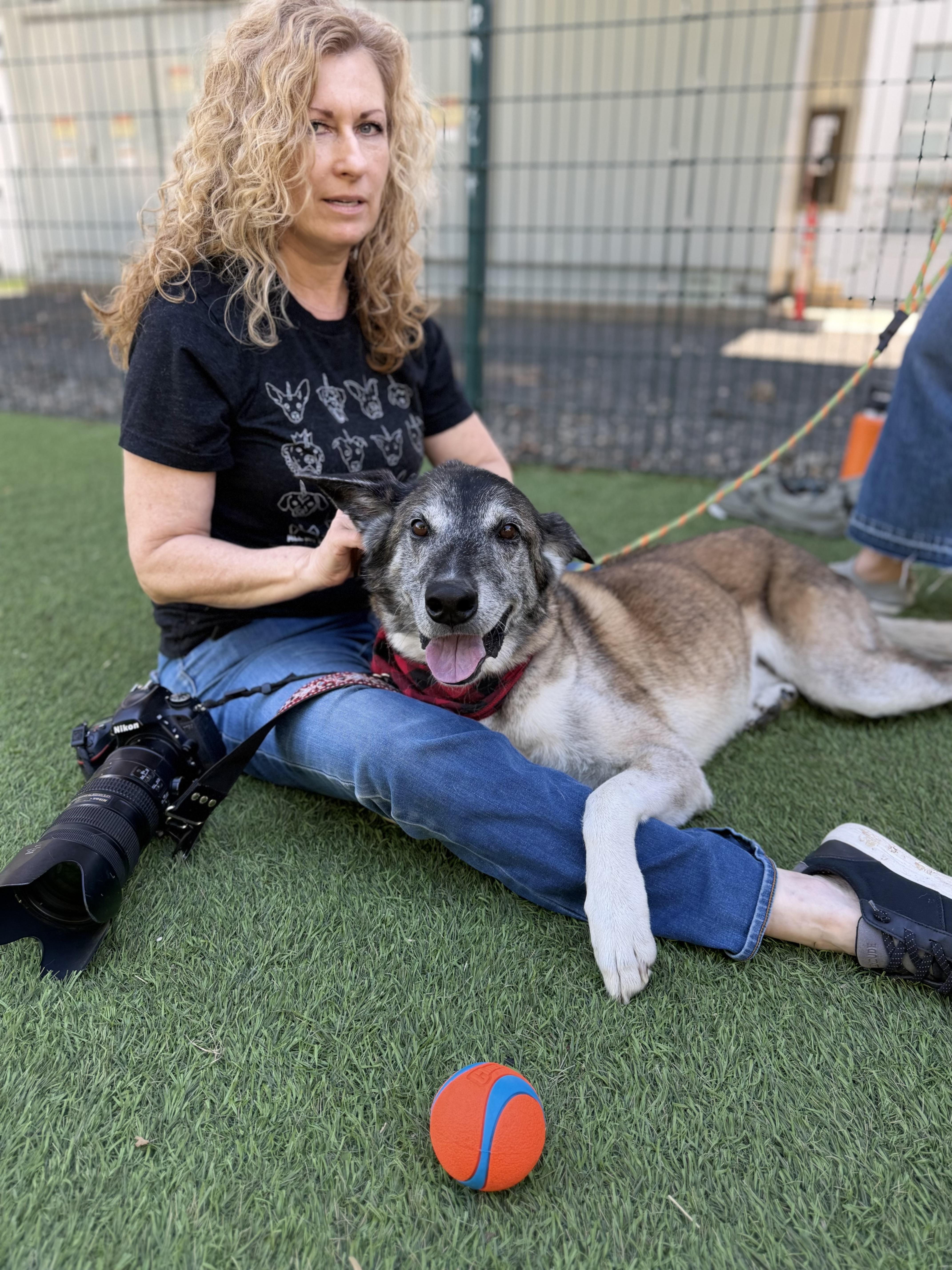 Enlarge Koop, a Adoptable mixed breed in Los Angeles, CA image 5/6