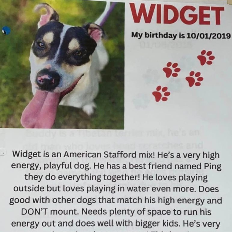 Widget — thumbnail 5