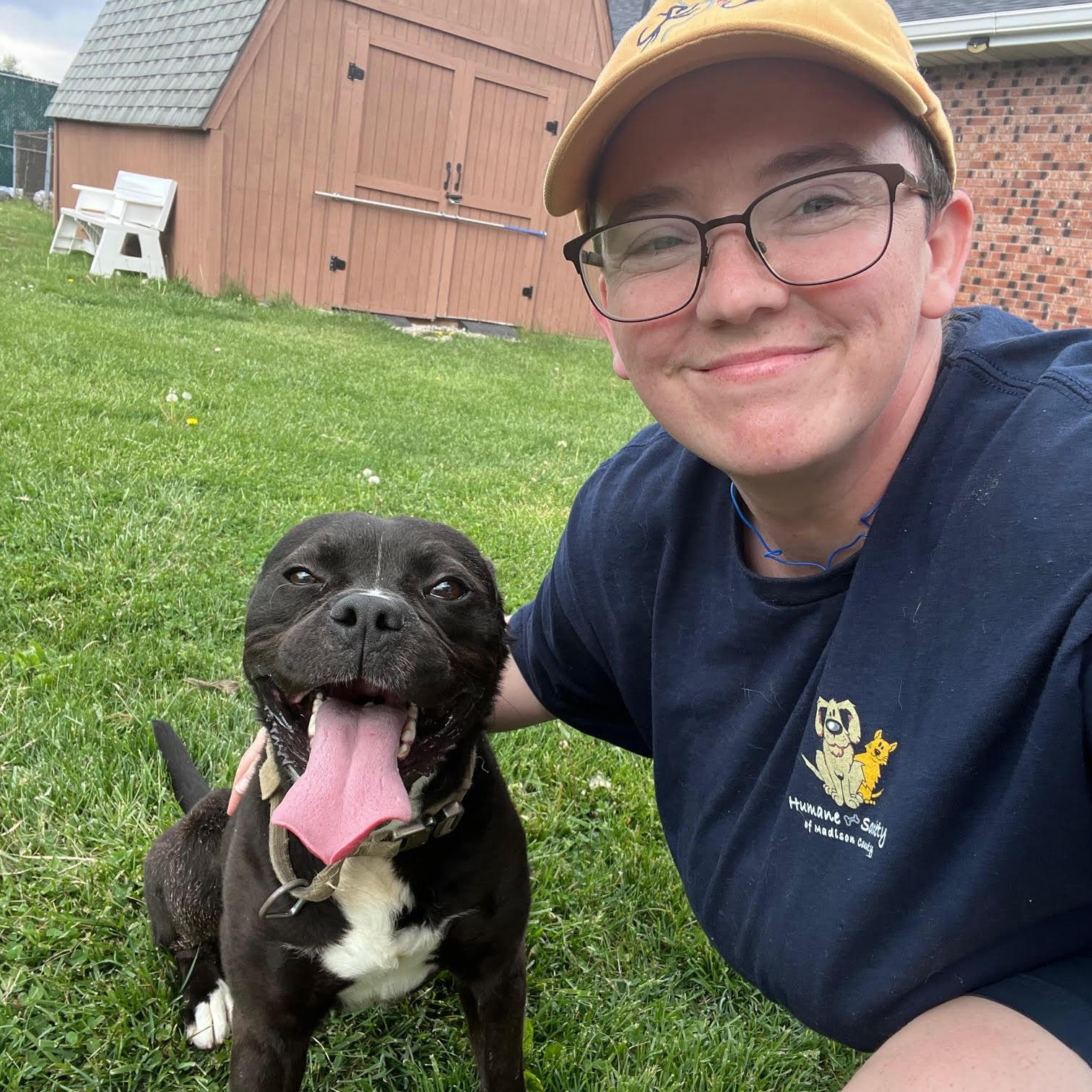 Warren, a ADOPTABLE mixed breed in West Jefferson, OH image 1/4