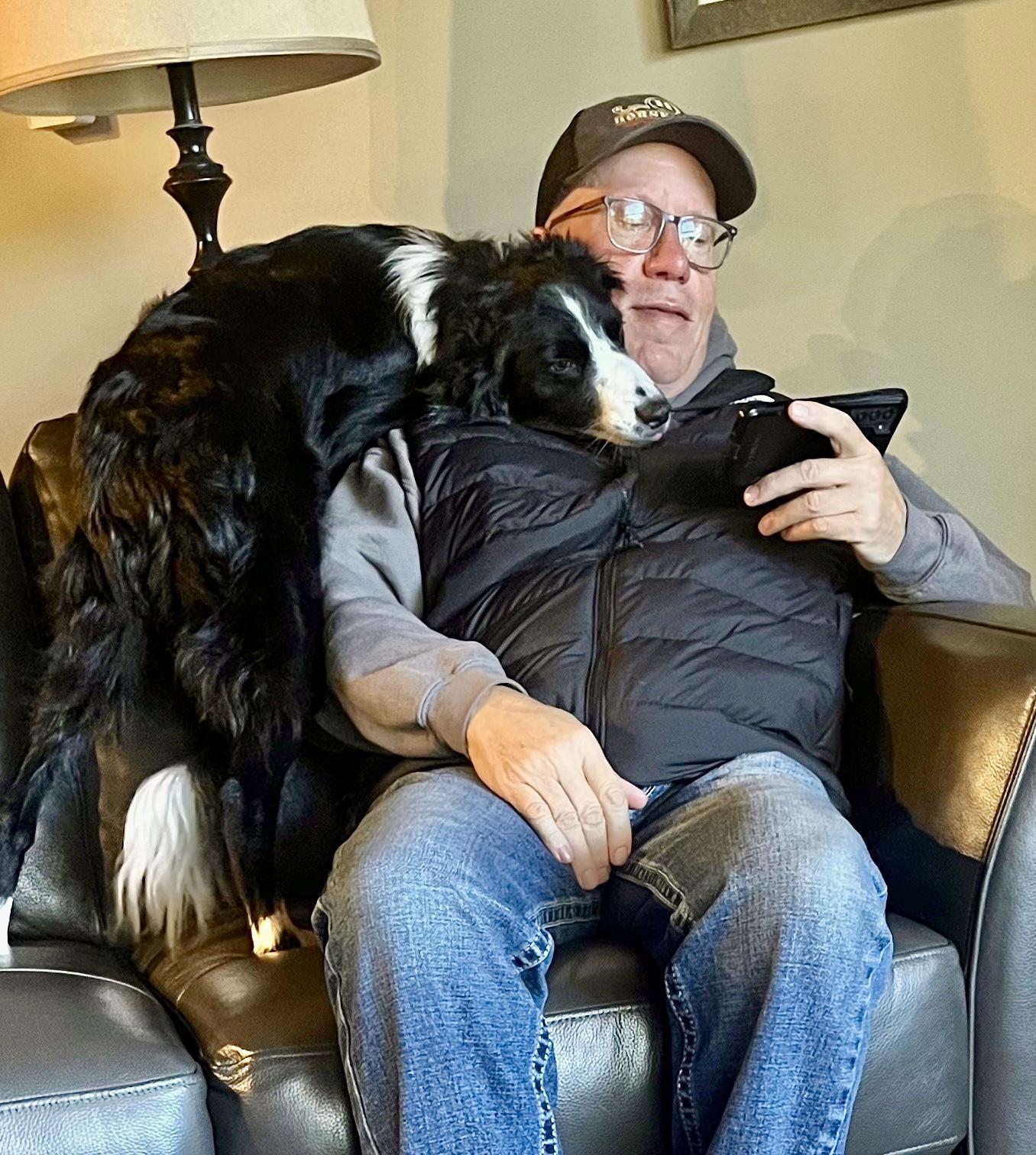 Gail, an adoptable Border Collie in Brainerd, MN, 56401 | Photo Image 3