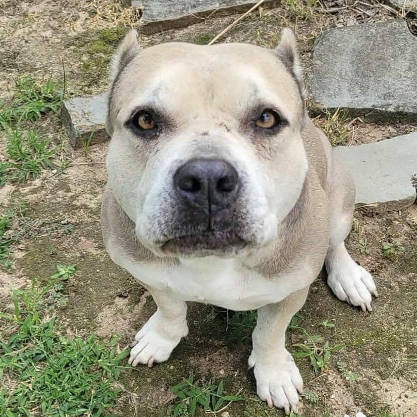 Athena AB — thumbnail 4