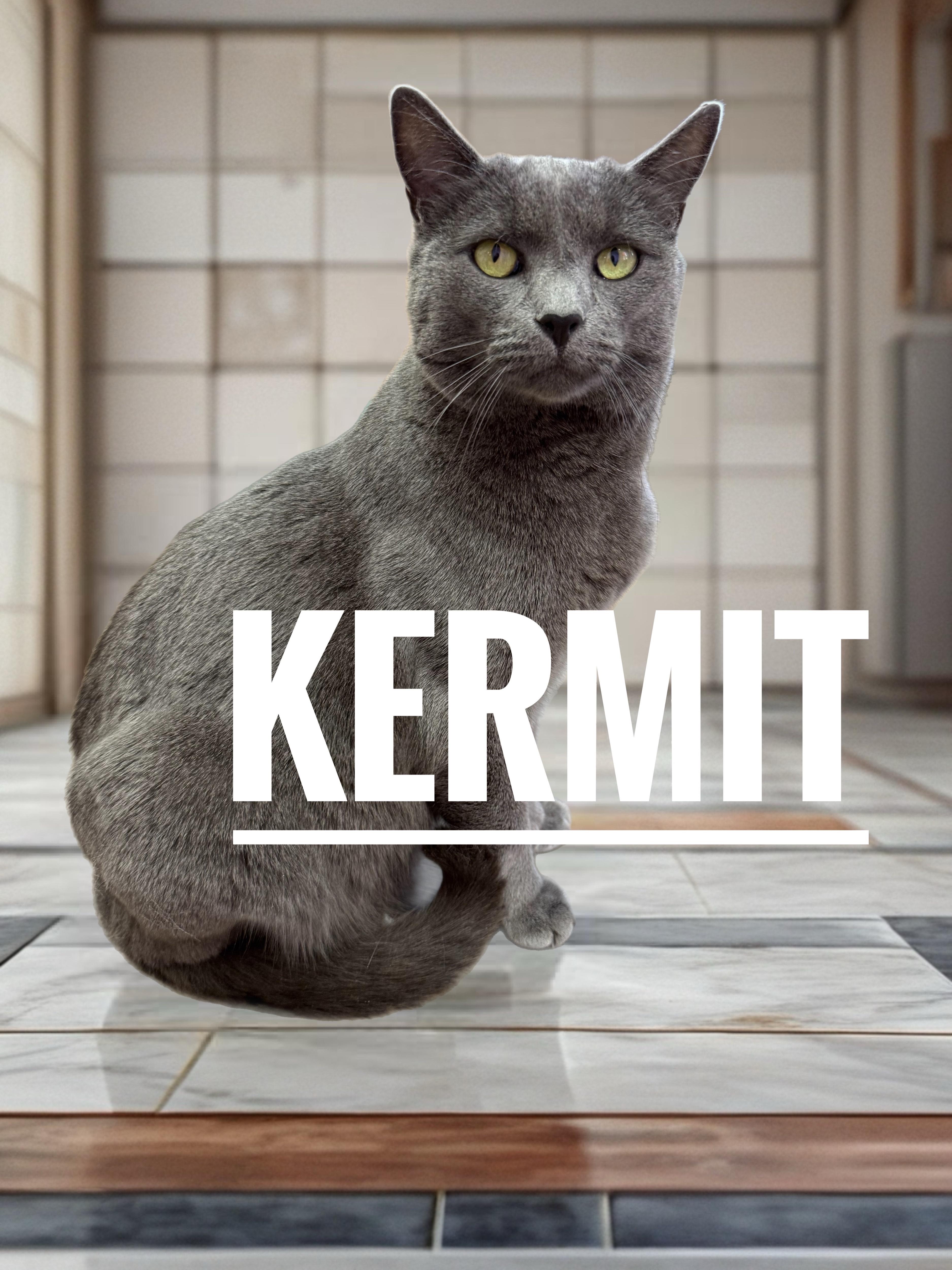 Kermit