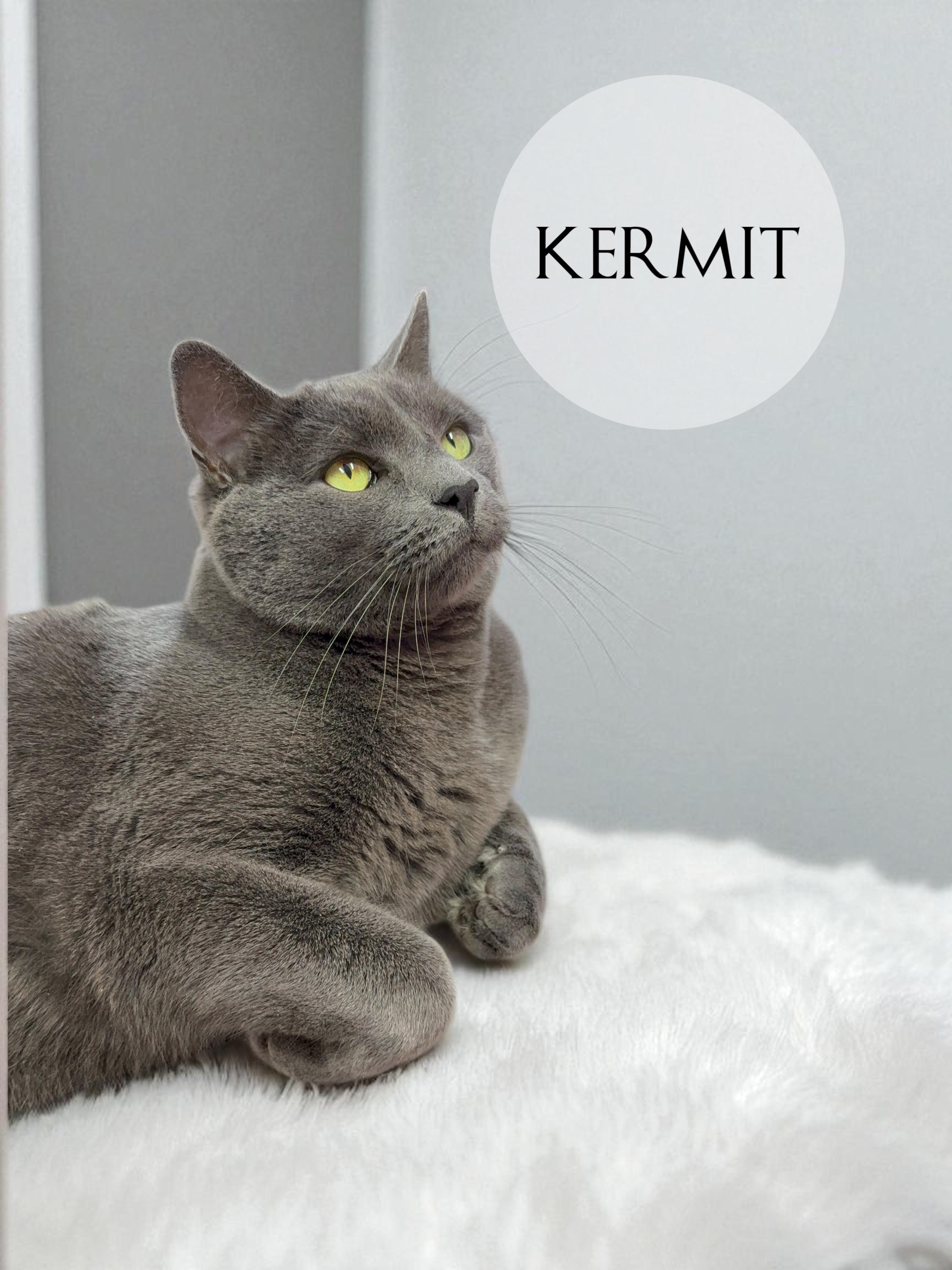 Kermit