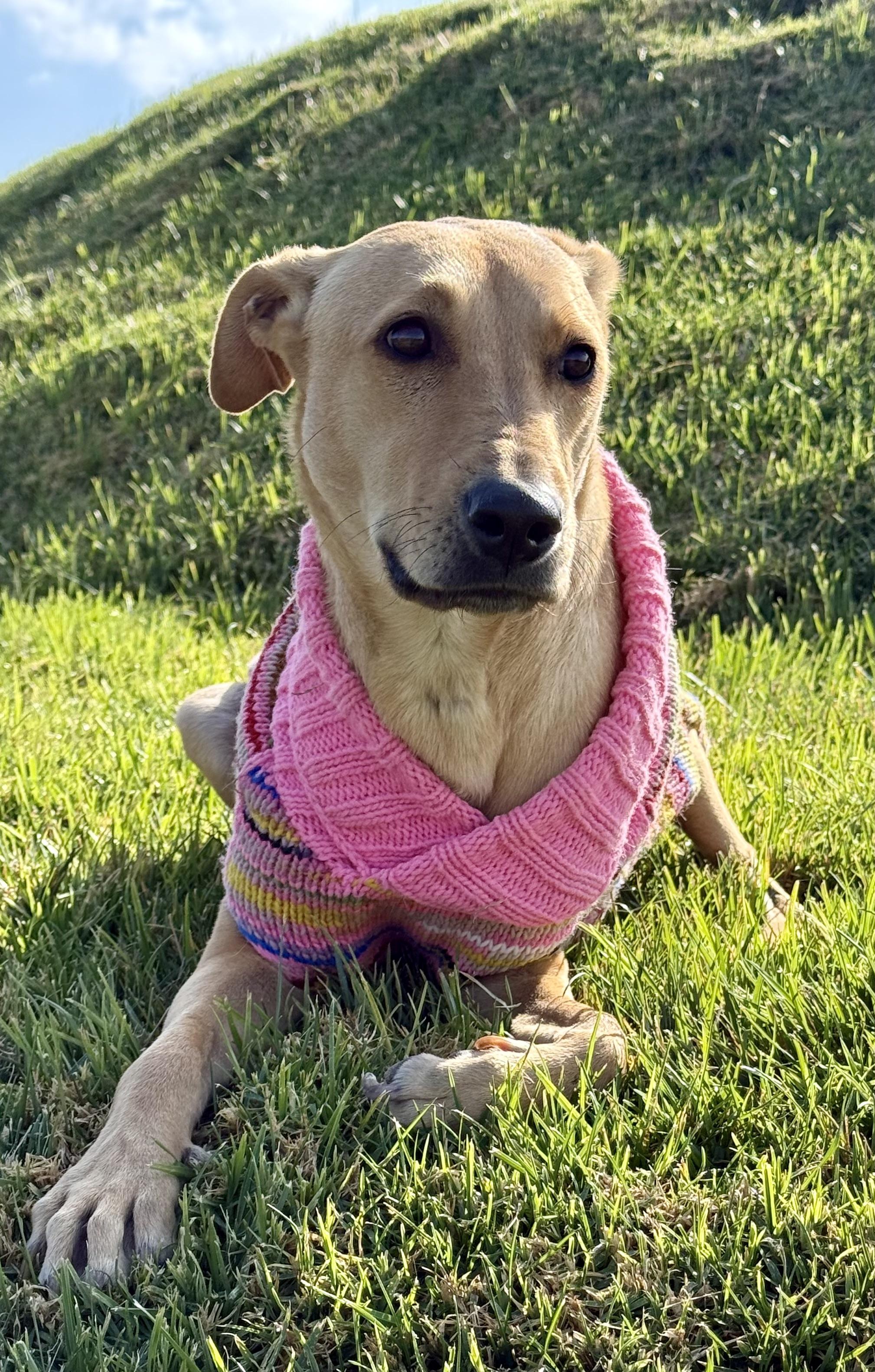 Mila — thumbnail 2