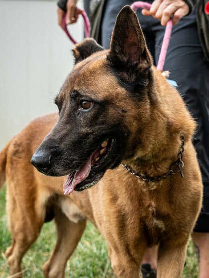 Tiago  Located In thumbnail 4