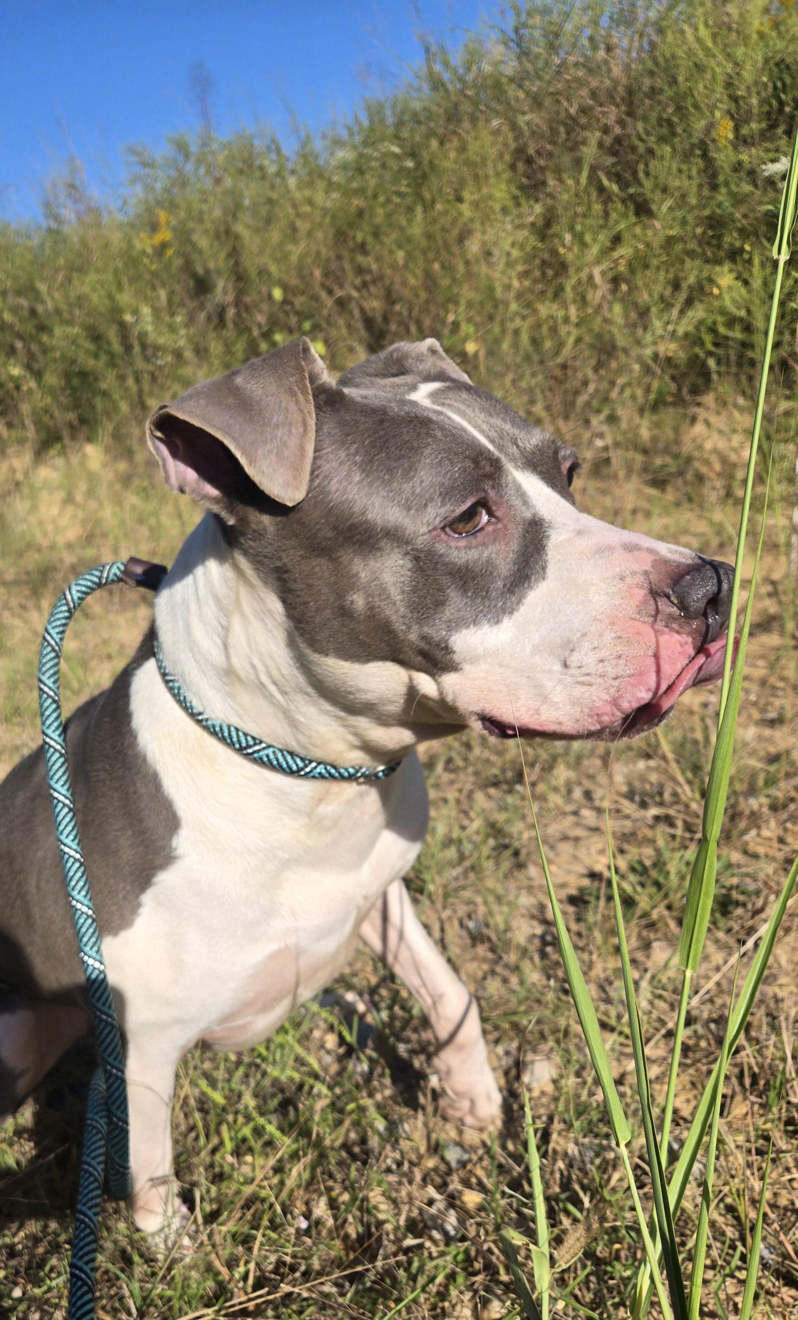 Treasure — thumbnail 2