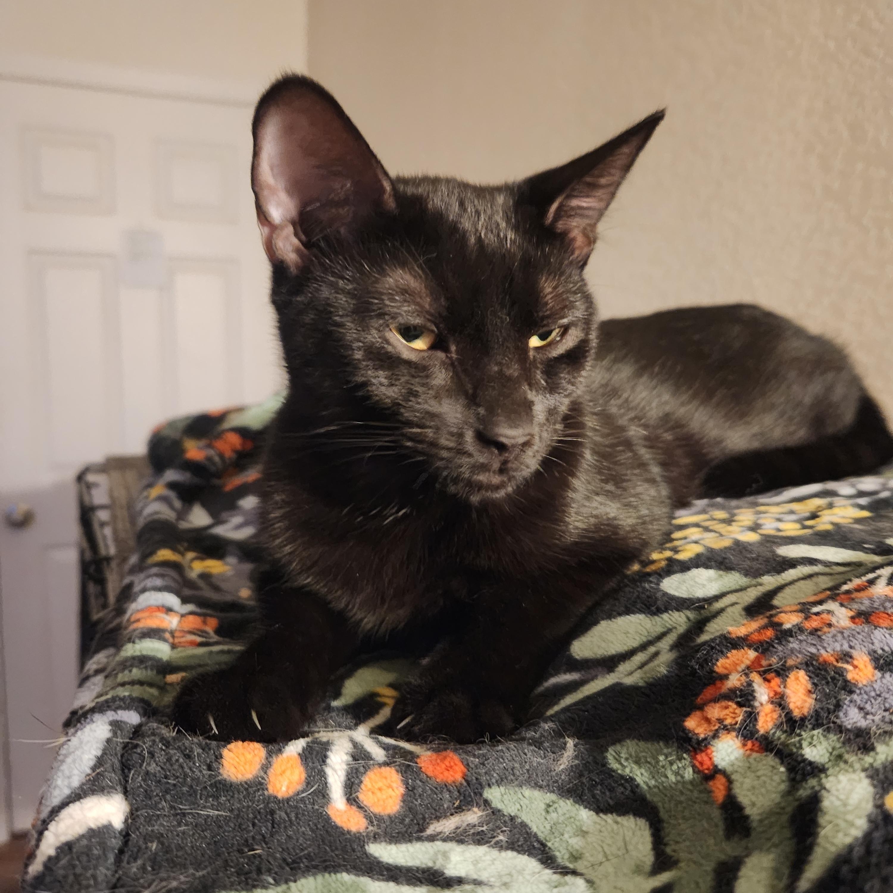 Sebastian