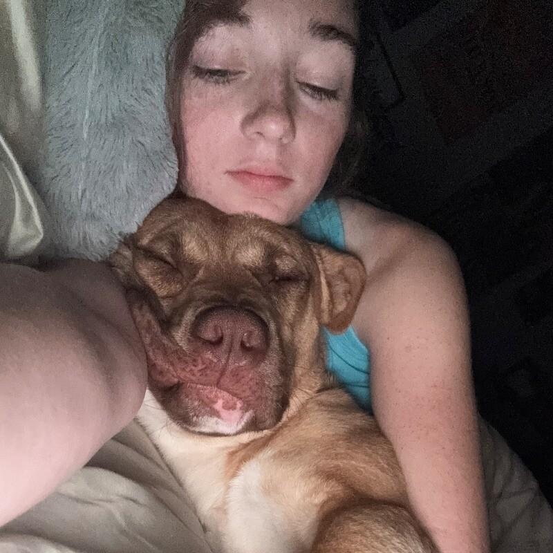 Alfie loves Dogs and Toys! — thumbnail 4