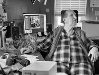 Geeto, adopted, Senior Male Domestic Short Hair.