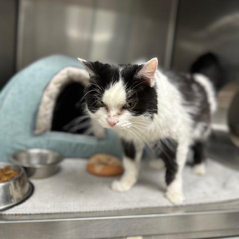 Tally — thumbnail 3