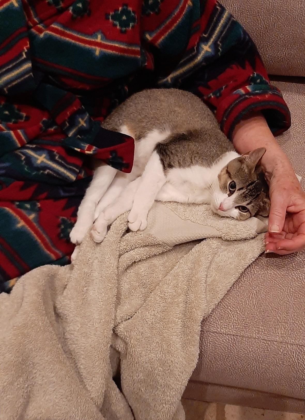 Lilly — thumbnail 2