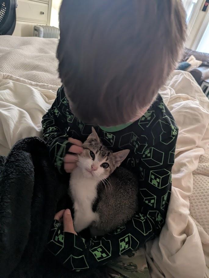 Lilly — thumbnail 3