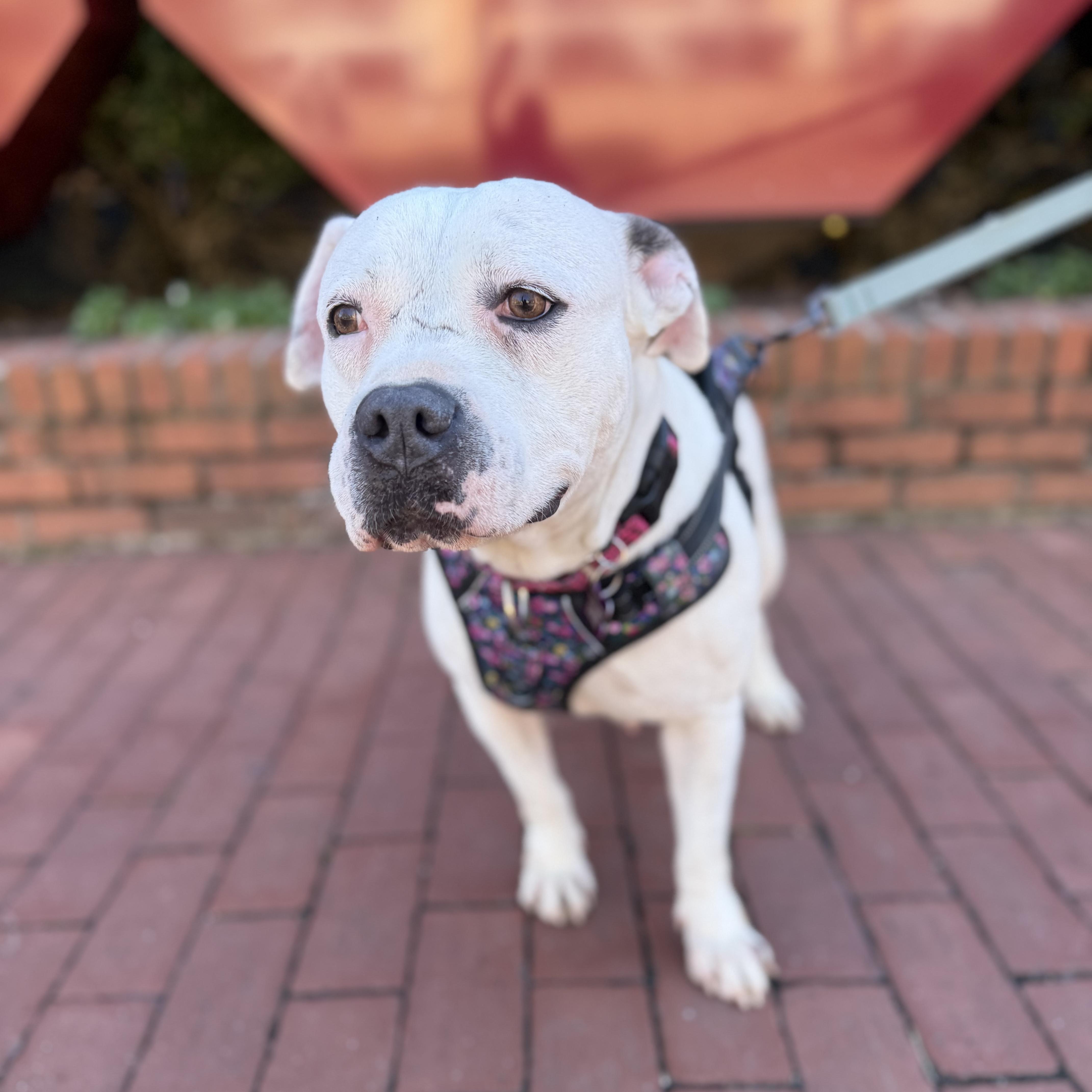 Caitlyn — thumbnail 5