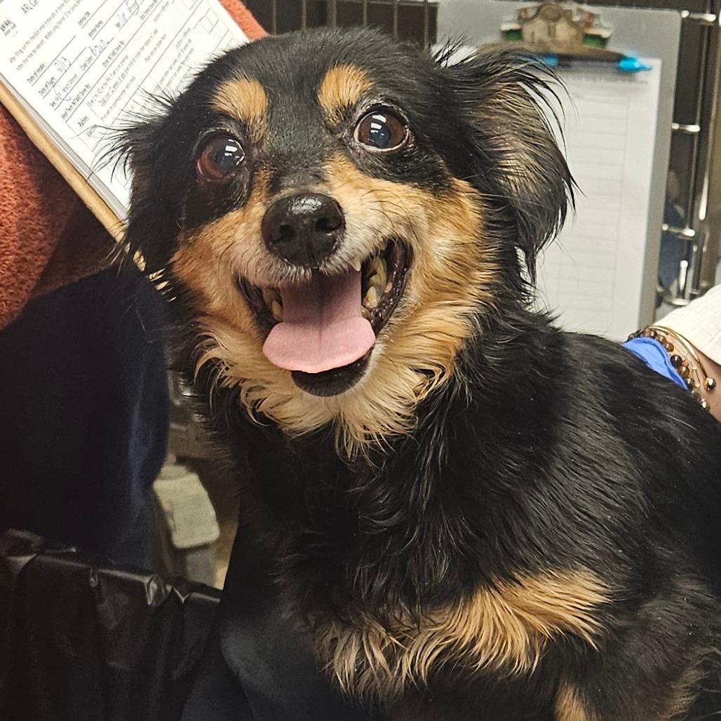 Tamara — thumbnail 2